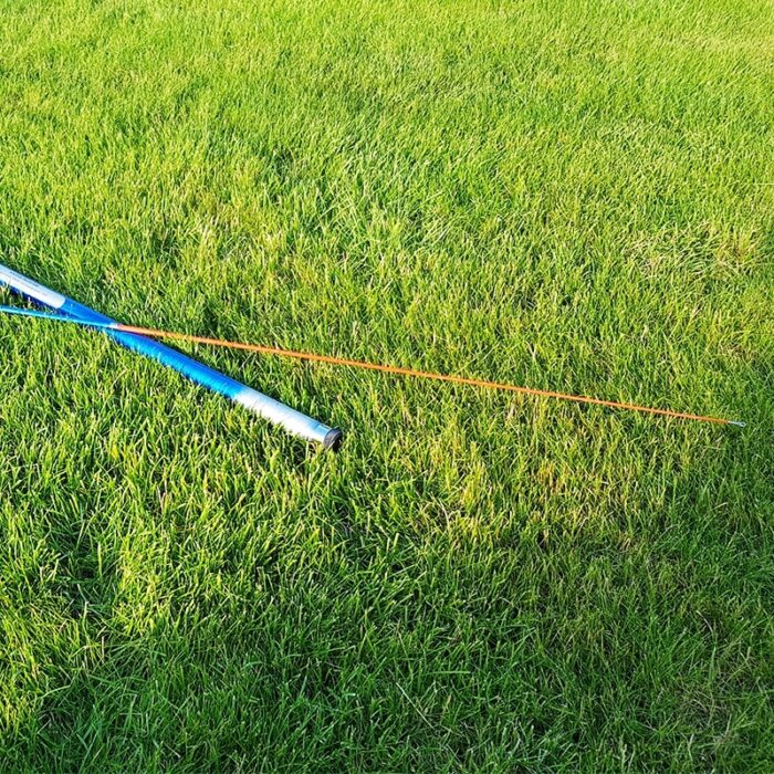 pauksciu-baidykle-kotas-8m-4.jpg pauksciu-baidykle-kotas-8m-4.jpg