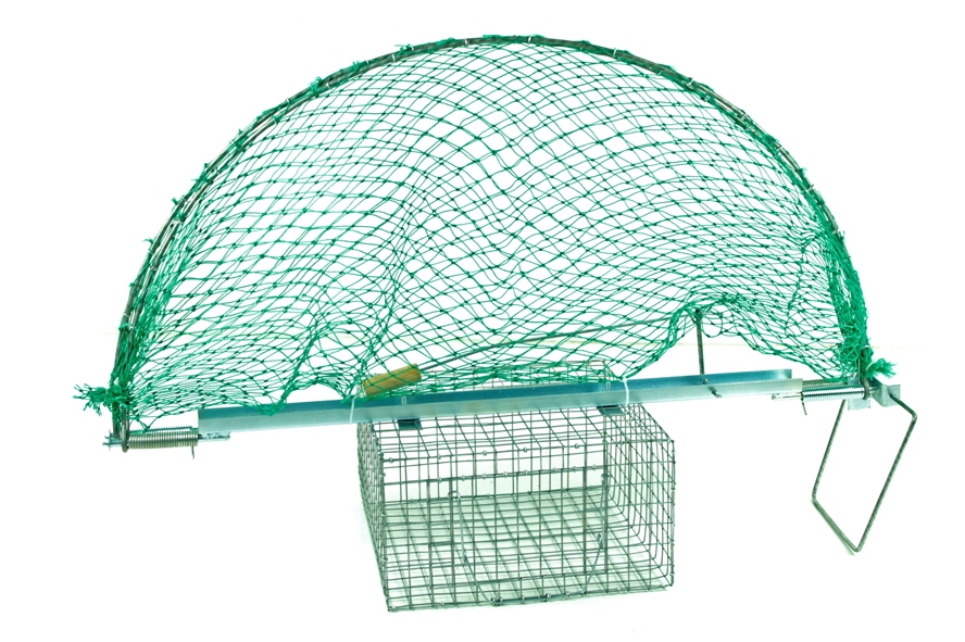 Paukščių gaudyklė su jauko kamera