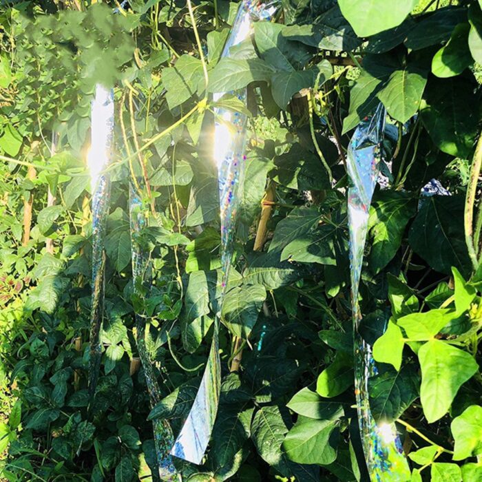 paukscius-atbaidanti-juosta-1.jpg paukscius-atbaidanti-juosta-1.jpg