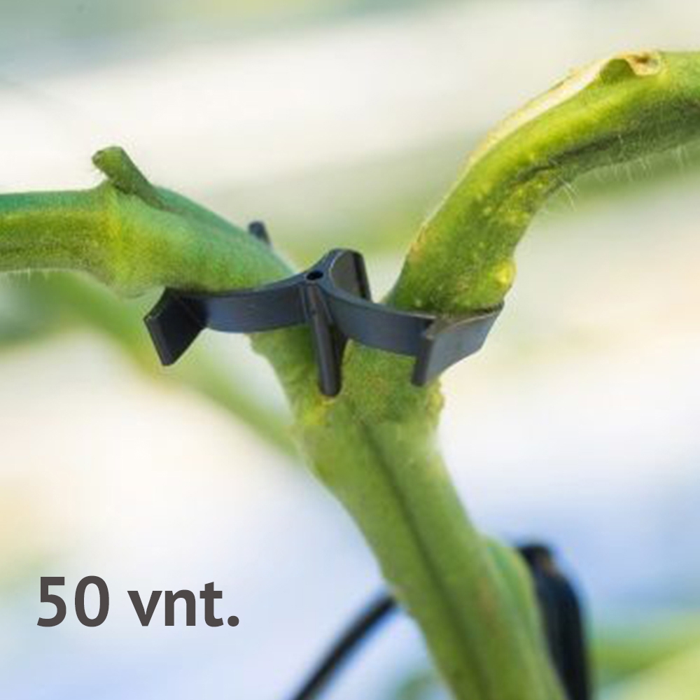 Pomidorų šakelių laikikliai, 50 vnt.