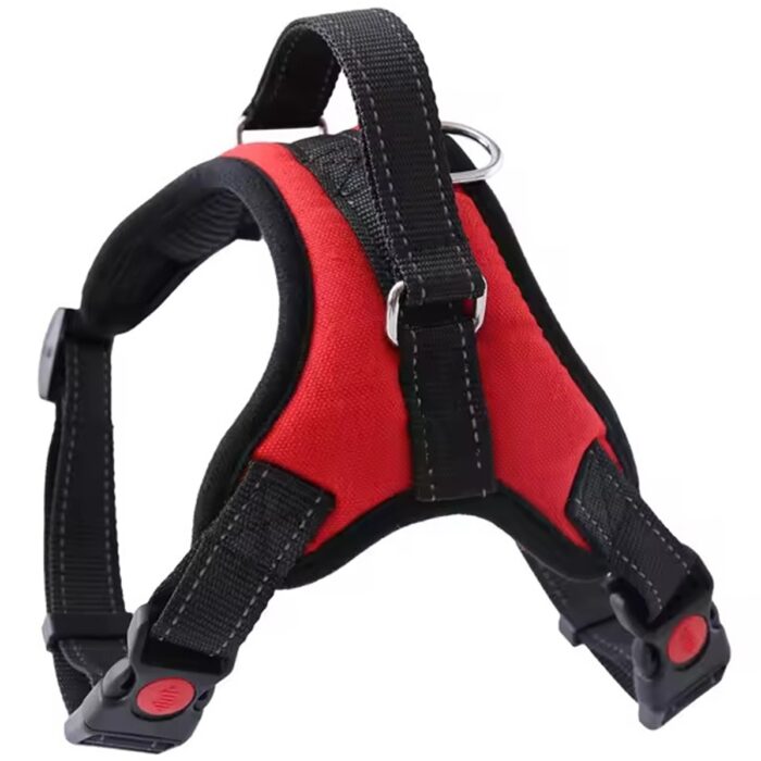 reguliuojami-sunu-dirzai-be-slegio-1.jpg reguliuojami-sunu-dirzai-be-slegio-1.jpg