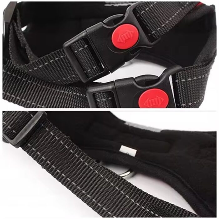 reguliuojami-sunu-dirzai-be-slegio-3.jpg reguliuojami-sunu-dirzai-be-slegio-3.jpg