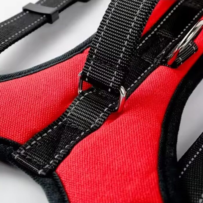 reguliuojami-sunu-dirzai-be-slegio-4.jpg reguliuojami-sunu-dirzai-be-slegio-4.jpg