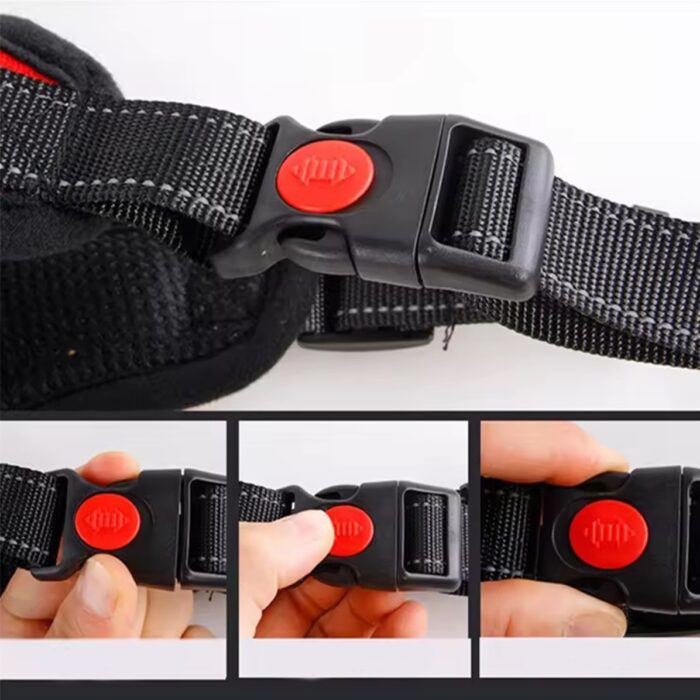 reguliuojami-sunu-dirzai-be-slegio-5.jpg reguliuojami-sunu-dirzai-be-slegio-5.jpg