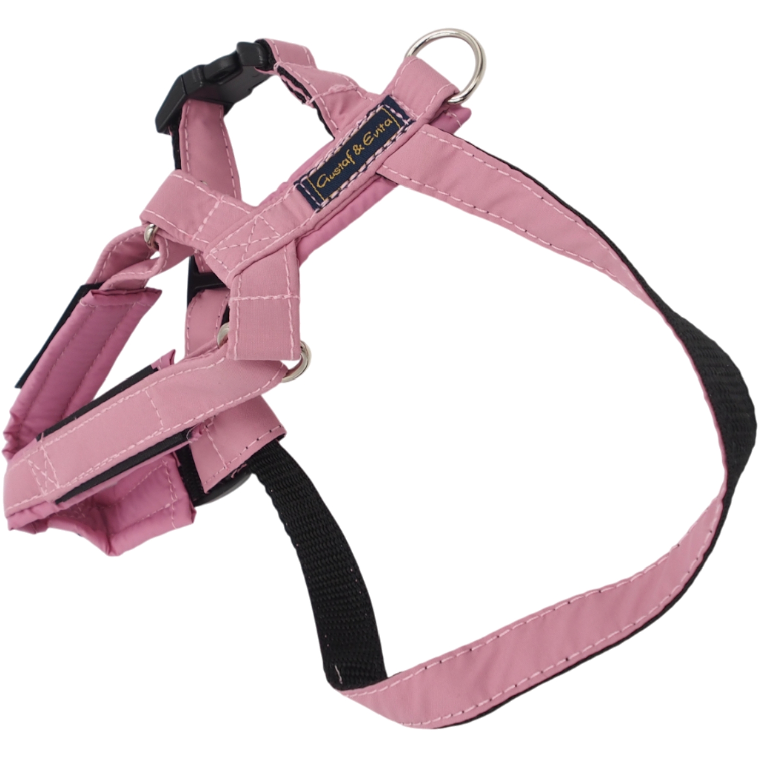 S Petnešos Gustaf & Evita