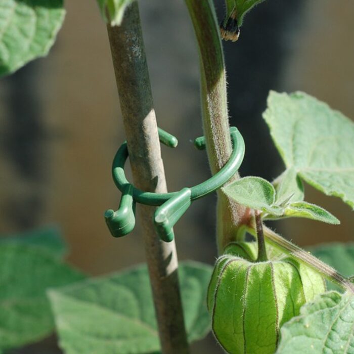 segtukai-augalams-50-vnt-2.jpg segtukai-augalams-50-vnt-2.jpg