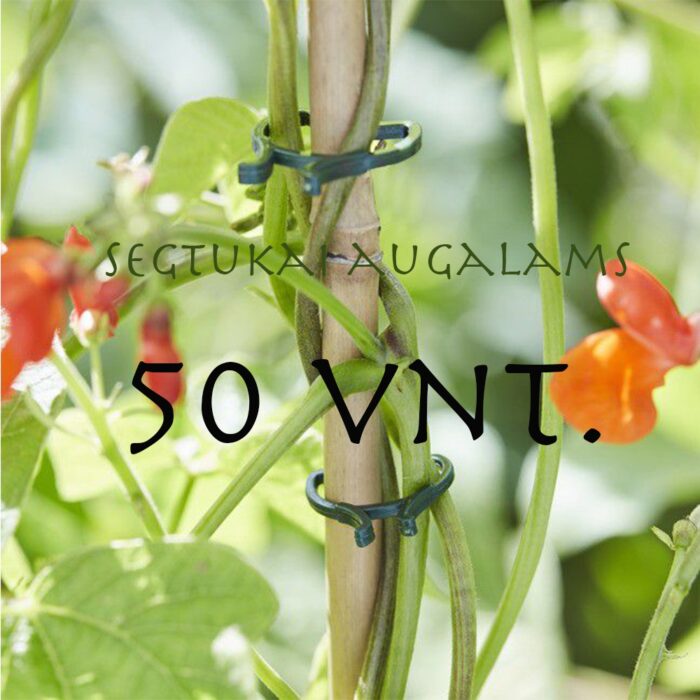segtukai-augalams-50-vnt.jpg segtukai-augalams-50-vnt.jpg