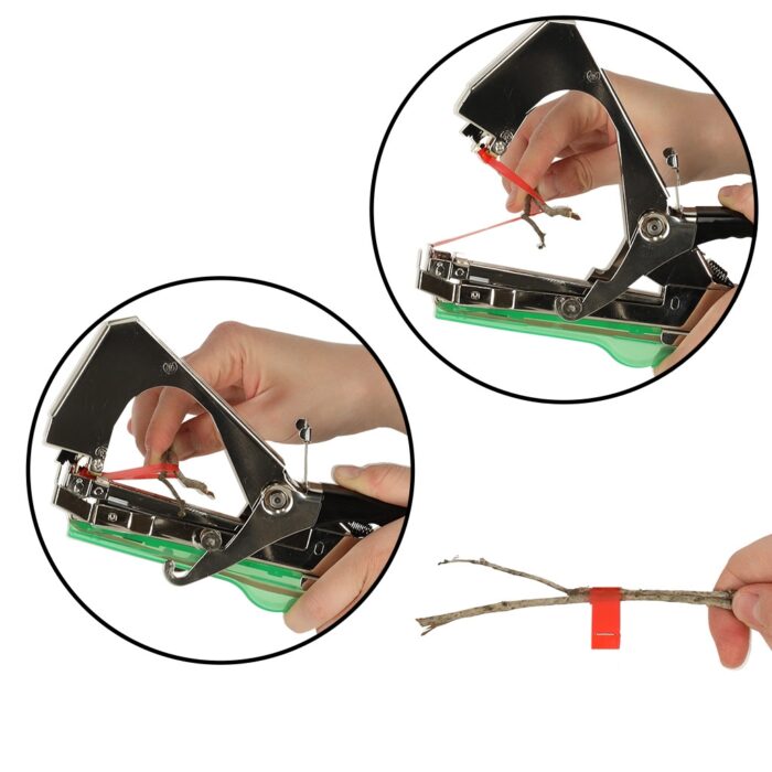 sodo-segiklis-su-juosta-8.jpg sodo-segiklis-su-juosta-8.jpg