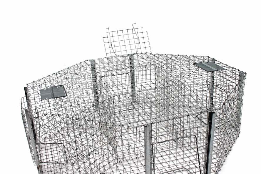 spastai-pauksciams-2.jpg spastai-pauksciams-2.jpg