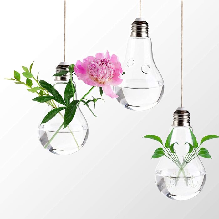 stikline-lempute-terariumas.jpg stikline-lempute-terariumas.jpg