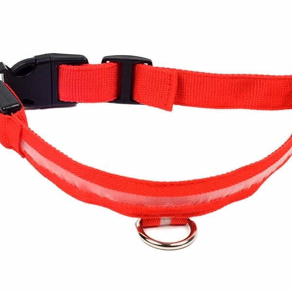 Šviečiantis LED antkaklis