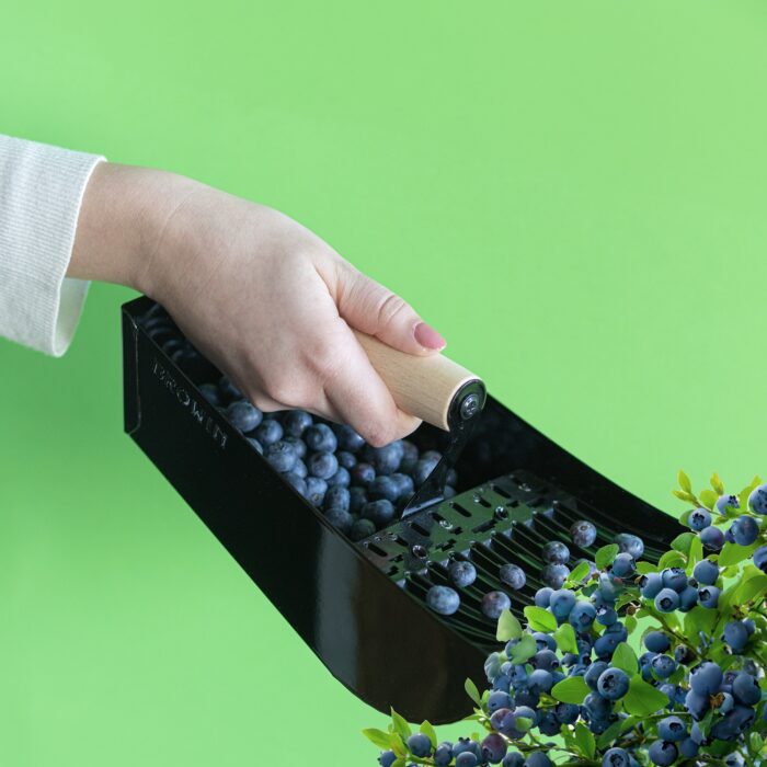 uogu-rinkimo-irankis-juodas-7.jpg uogu-rinkimo-irankis-juodas-7.jpg