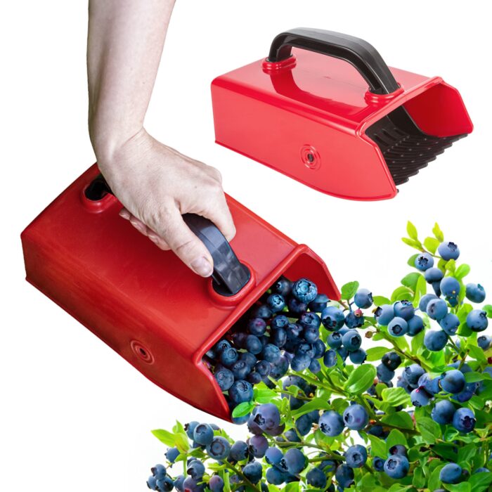 uogu-skynimo-sukos-4.jpg uogu-skynimo-sukos-4.jpg