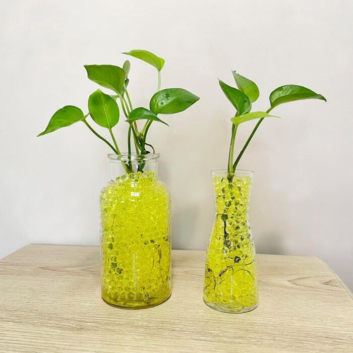 vandens-kamuoliukai-geltoni-1.jpg vandens-kamuoliukai-geltoni-1.jpg