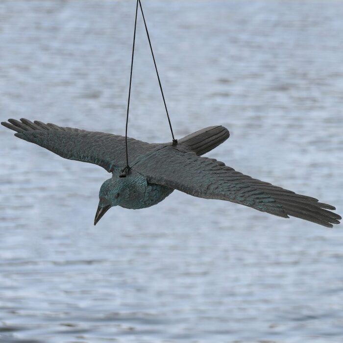 varnos-imitacija-xl-11.jpg varnos-imitacija-xl-11.jpg