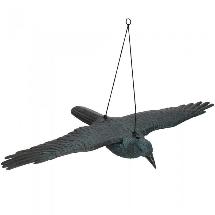 varnos-imitacija-xl-14.jpg varnos-imitacija-xl-14.jpg