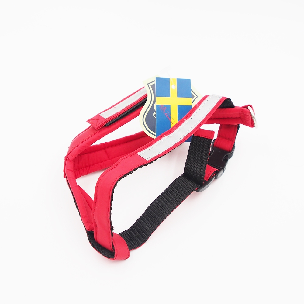 XS Gustaf & Evita“ petnešos