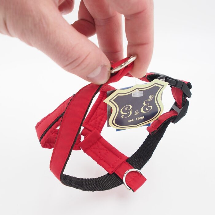 xs-petnesos-sunims-gustaf-evita-ge200100-2.jpg xs-petnesos-sunims-gustaf-evita-ge200100-2.jpg