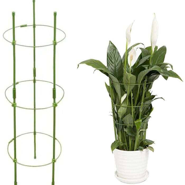 ziedine-atrama-augalams.jpg ziedine-atrama-augalams.jpg