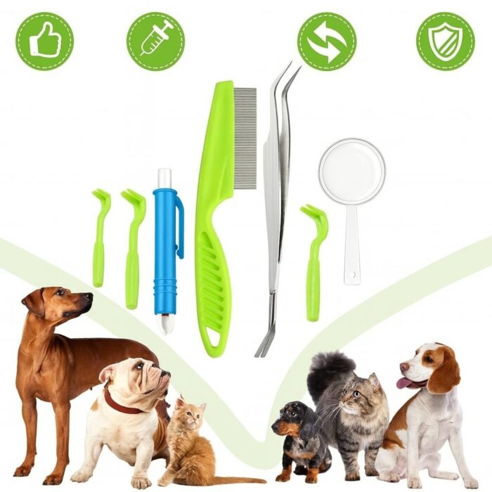 profesionalus-rinkinys-erkiu-istraukimui-3.jpg profesionalus-rinkinys-erkiu-istraukimui-3.jpg