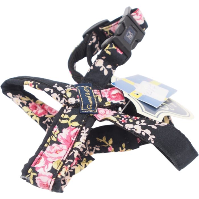 xs-petnesos-gustaf-evita.jpg xs-petnesos-gustaf-evita.jpg