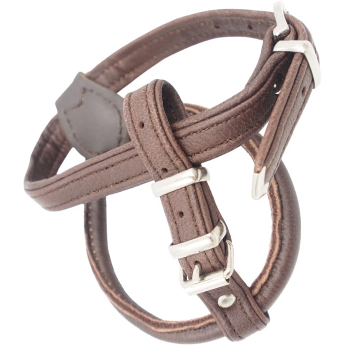 xs-petnesos-hunter-1.jpg xs-petnesos-hunter-1.jpg